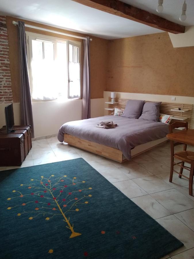 Au Coeur De Montastruc-La-Conseillere - Chambres D'Hotes Dış mekan fotoğraf